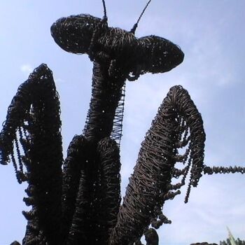 Sculpture titled "bidsprinkhaan kunst" by David Vanorbeek, Original Artwork, Metals