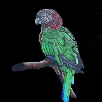 Desenho intitulada "Le perroquet vert" por David Da Costa, Obras de arte originais, Lápis