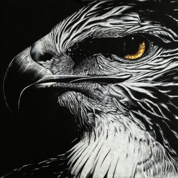 Рисунок под названием "L’aigle" - David Da Costa, Подлинное произведение искусства, Карандаш