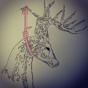 Drawing titled "Deer" by Daz, Original Artwork, Ballpoint pen