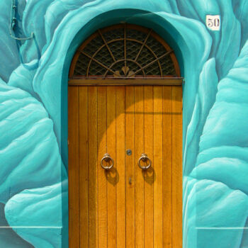 Fotografía titulada "The door to the par…" por Davide Novello, Obra de arte original, Fotografía digital