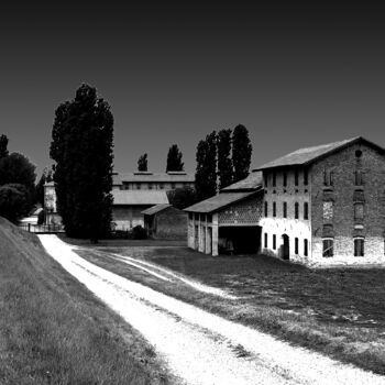 Photographie intitulée "Silent farm" par Davide Novello, Œuvre d'art originale, Photographie numérique