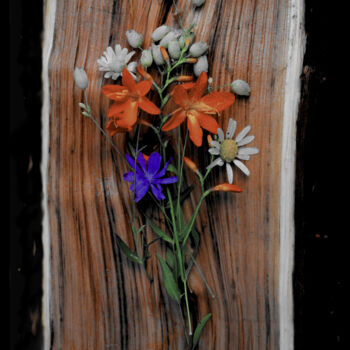 Φωτογραφία με τίτλο "Flowers" από Davide Poggio, Αυθεντικά έργα τέχνης, Μη χειραγωγημένη φωτογραφία