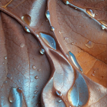 Photography titled "Drops" by Davide Poggio, Original Artwork, Digital Photography Mounted on Other rigid panel
