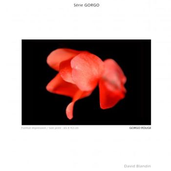 Photography titled "Gorgo Rouge" by David Blandin, Original Artwork