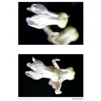 Photographie intitulée "Série Poulpe Floral" par David Blandin, Œuvre d'art originale
