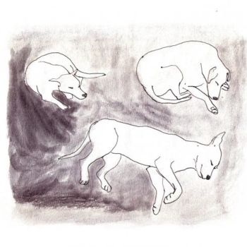 Disegno intitolato "Happy Dog!" da David Blandin, Opera d'arte originale