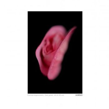 Photographie intitulée "Gorgo clito" par David Blandin, Œuvre d'art originale