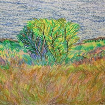 Painting titled "PRAIRIE GRASS" by David Cade, Original Artwork, Pastel