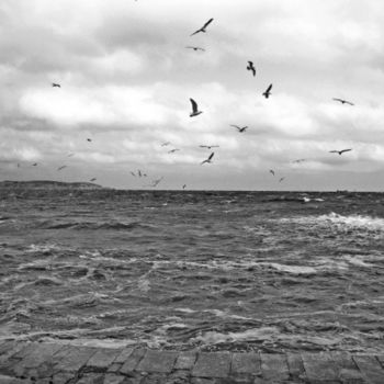 Photography titled "Let the Birds Fly,L…" by David Tesin Sky, Original Artwork