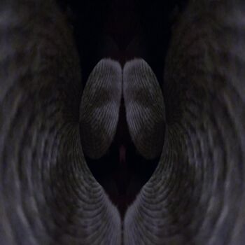"Angel wings" başlıklı Fotoğraf Dawn Mccutcheon tarafından, Orijinal sanat, Dijital Fotoğrafçılık