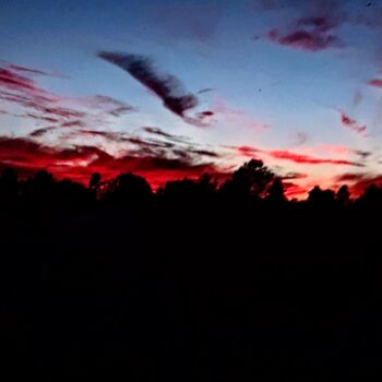 Фотография под названием "Sunset oddities 2" - Dawn Mccutcheon, Подлинное произведение искусства, Не манипулируемая фотограф…
