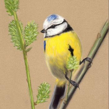 Malerei mit dem Titel "Pastel on paper Bird" von Deimante Bruzguliene, Original-Kunstwerk, Pastell