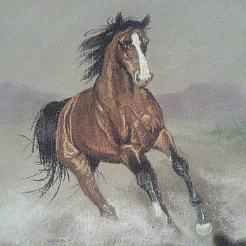 Drawing titled "Restless horse" by Danie Cronje, Original Artwork