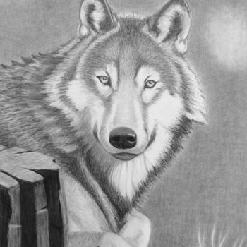 Desenho intitulada "Le loup" por Pelletier, Obras de arte originais, Lápis