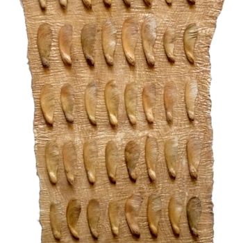 Textile Art με τίτλο "Écorce de palmier-E…" από Liliana De Vito, Αυθεντικά έργα τέχνης