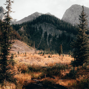 Fotografia zatytułowany „MOUNTAIN” autorstwa Matthieu Debano, Oryginalna praca, Fotografia cyfrowa