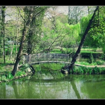 Fotografía titulada "Menen - Bois de Bou…" por Deboknol, Obra de arte original
