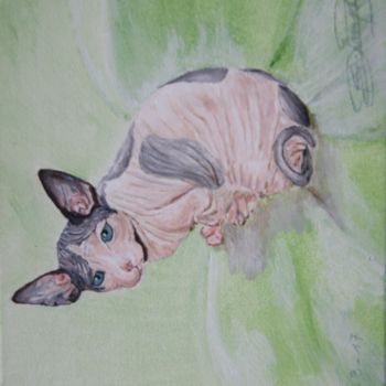 Pintura titulada "Sphynx -kitten Harl…" por Edmond Dechamps, Obra de arte original, Acrílico