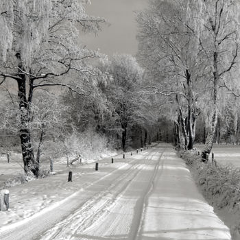 Fotografía titulada "sneeuw landschap" por Thea De Gier, Obra de arte original