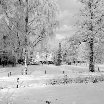 摄影 标题为“winter.” 由Thea De Gier, 原创艺术品