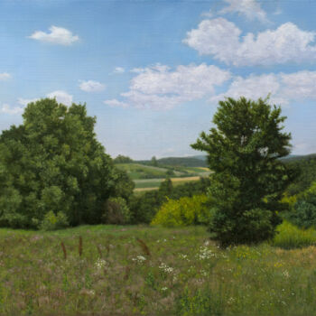 Картина под названием "The Meadow in the S…" - Dejan Trajkovic, Подлинное произведение искусства, Масло