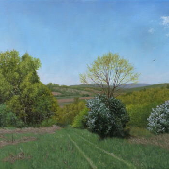 Painting titled "The Meadow in Spring" by Dejan Trajkovic, Original Artwork, Oil