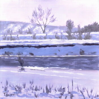 Malarstwo zatytułowany „Snowy Coasts” autorstwa Dejan Trajkovic, Oryginalna praca, Olej