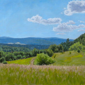 Картина под названием "Meadow on the Mount…" - Dejan Trajkovic, Подлинное произведение искусства, Масло