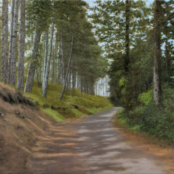 Pintura intitulada "Rocky road through…" por Dejan Trajkovic, Obras de arte originais, Óleo