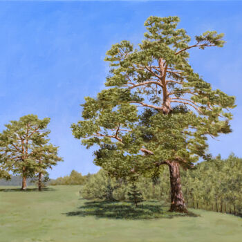 Painting titled "Old Pines" by Dejan Trajkovic, Original Artwork, Oil