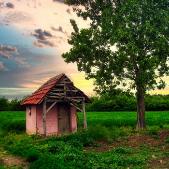 Fotografía titulada "A hut in the field" por Dejan Travica, Obra de arte original, Fotografía digital