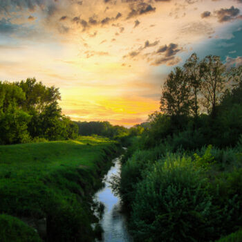 Фотография под названием "A small forest river" - Dejan Travica, Подлинное произведение искусства, Цифровая фотография