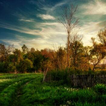 Photography titled "Country road in the…" by Dejan Travica, Original Artwork, Digital Photography