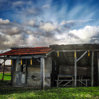 "An old hut in a gre…" başlıklı Fotoğraf Dejan Travica tarafından, Orijinal sanat, Dijital Fotoğrafçılık