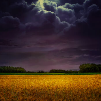 Фотография под названием "Wheat field under t…" - Dejan Travica, Подлинное произведение искусства, Цифровая фотография