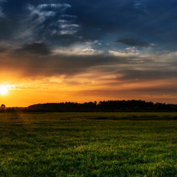Photographie intitulée "Sunset in the field" par Dejan Travica, Œuvre d'art originale, Photographie numérique