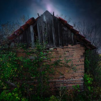 Photography titled "An old abandoned hut" by Dejan Travica, Original Artwork, Digital Photography