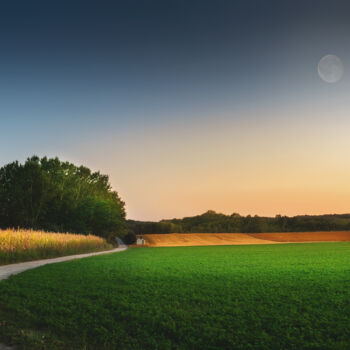 Photography titled "Moon in the sunset" by Dejan Travica, Original Artwork, Digital Photography