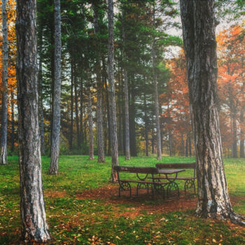 Photography titled "Bench in the woods" by Dejan Travica, Original Artwork, Digital Photography