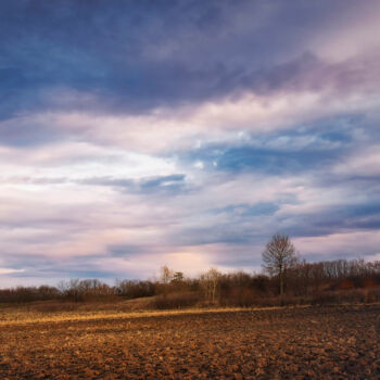 Photography titled "The bare field is w…" by Dejan Travica, Original Artwork, Digital Photography