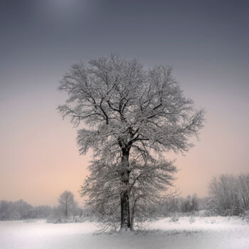 Fotografia zatytułowany „Winter solitude” autorstwa Dejan Travica, Oryginalna praca, Fotografia cyfrowa