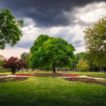 Fotografie getiteld "Palic Great park in…" door Dejan Travica, Origineel Kunstwerk, Digitale fotografie