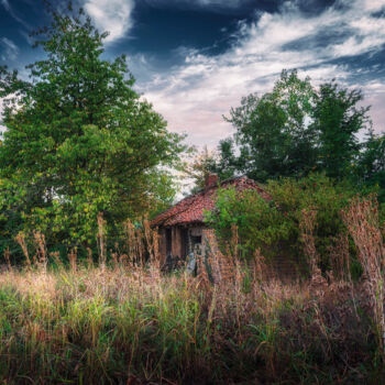 Fotografía titulada "An abandoned hut hi…" por Dejan Travica, Obra de arte original, Fotografía digital