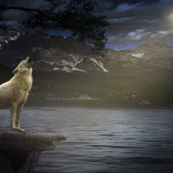 Fotografia intitolato "White wolf howling" da Dejan Travica, Opera d'arte originale, Fotografia manipolata