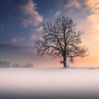 Photography titled "Winter idyll" by Dejan Travica, Original Artwork, Digital Photography