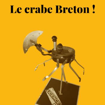 Γλυπτική με τίτλο "LE CRABE BRETON !" από Catherine Delaforge (KTY95), Αυθεντικά έργα τέχνης, Αλουμίνιο