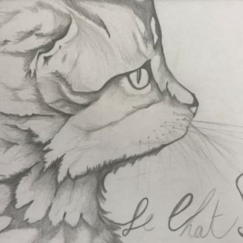 Tekening getiteld "Le chat beauté" door Sego, Origineel Kunstwerk, Potlood