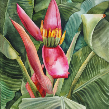 Painting titled "Banana blossom" by Delnara El, Original Artwork, Watercolor