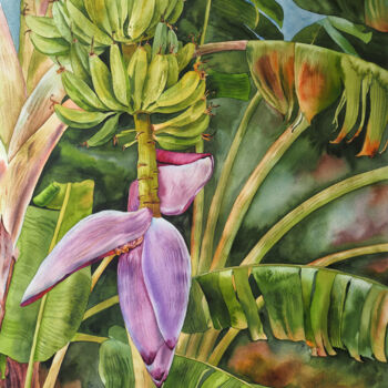 Картина под названием "Banana palm" - Delnara El, Подлинное произведение искусства, Акварель